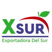 XSUR — Exportadora del Sur